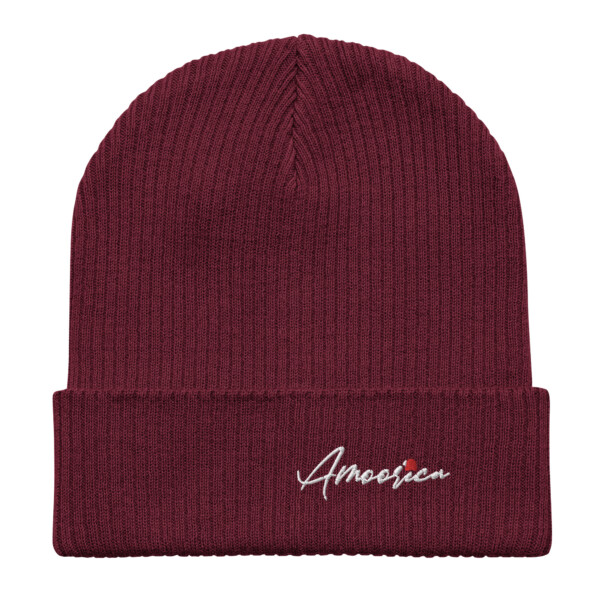 Amoorica Burgandy Ribbed Organic Beanie - Image 4