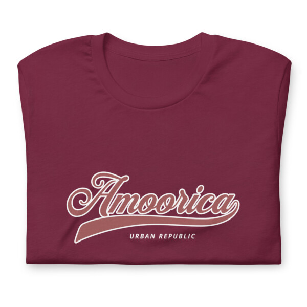 Mens Amoorica Republic T-Shirt - Image 7