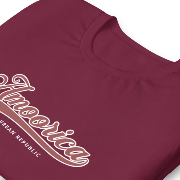 Mens Amoorica Republic T-Shirt - Image 6